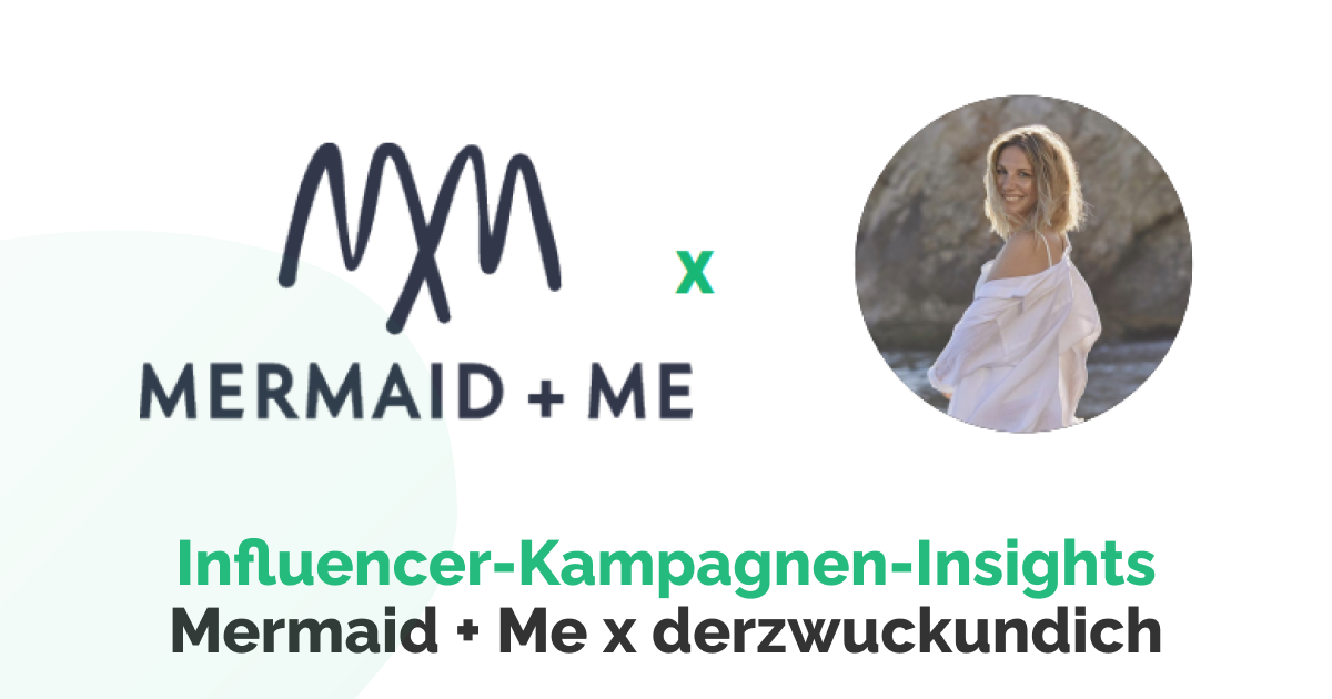 Influencer-Kampagnen-Insights